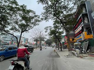 Hàng hiếm mặt phố vũ tông phan, thanh xuân