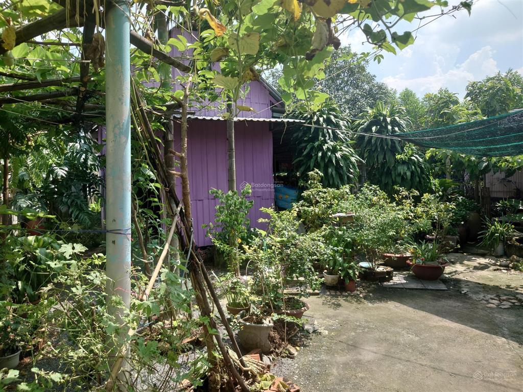 Bán nhà đất diện tích 1000m2  thổ cư 306m2  sổ hồng chính chủ  phường tân triều  đồng nai