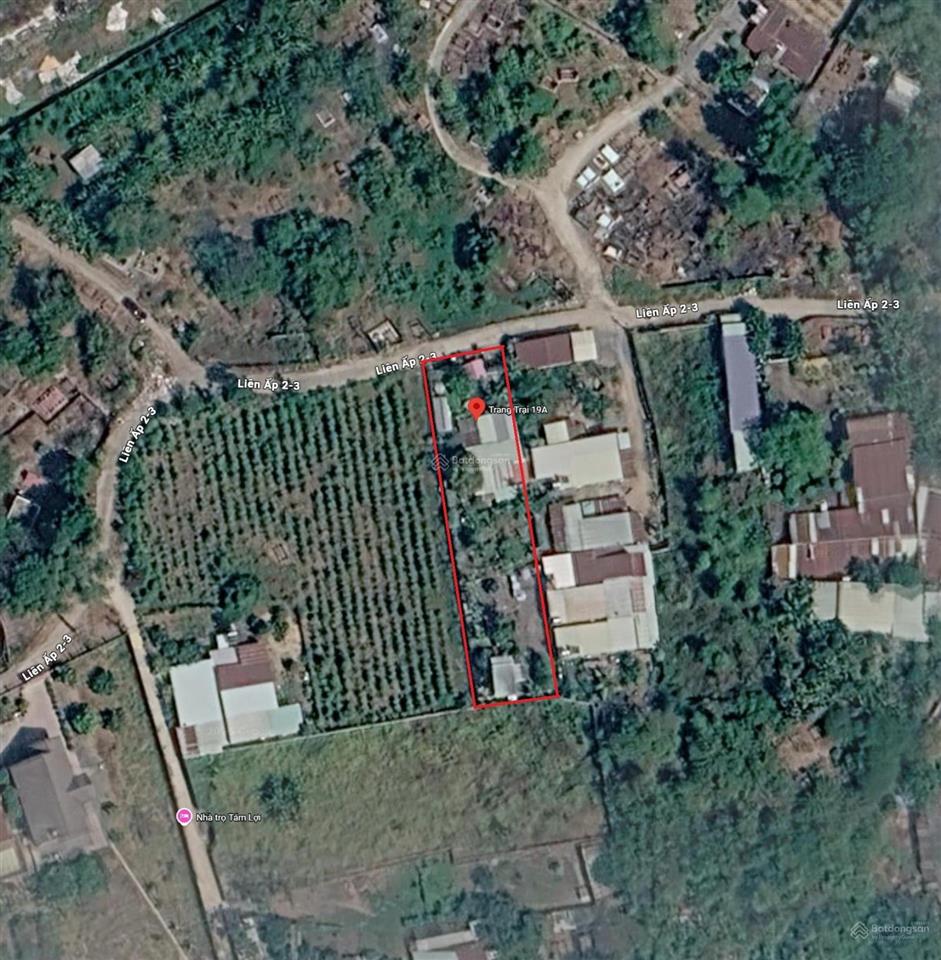 Bán nhà đất diện tích 1000m2  thổ cư 306m2  sổ hồng chính chủ  phường tân triều  đồng nai