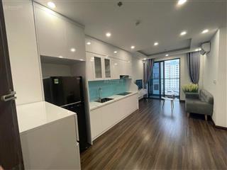 Cho thuê căn 1.5n tầng cao hoàng huy commerce full nội thất  giá 9tr