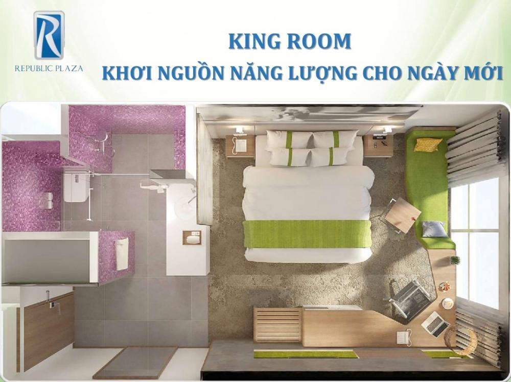 Bán căn hộ 1pn 52m2 tại republic plaza, tân bình, 2 tỷ 650 triệu view hồ bơi