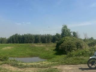 Bán khu đất lớn tại xã tân an hội, củ chi  10.533,6m²