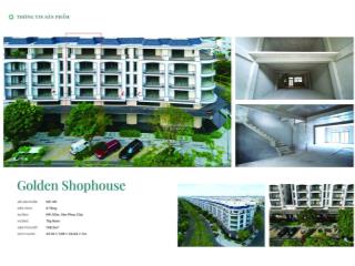 Shophouse mặt tiền nguyễn thị nhung trục kinh doanh sầm uất giá 42 tỷ