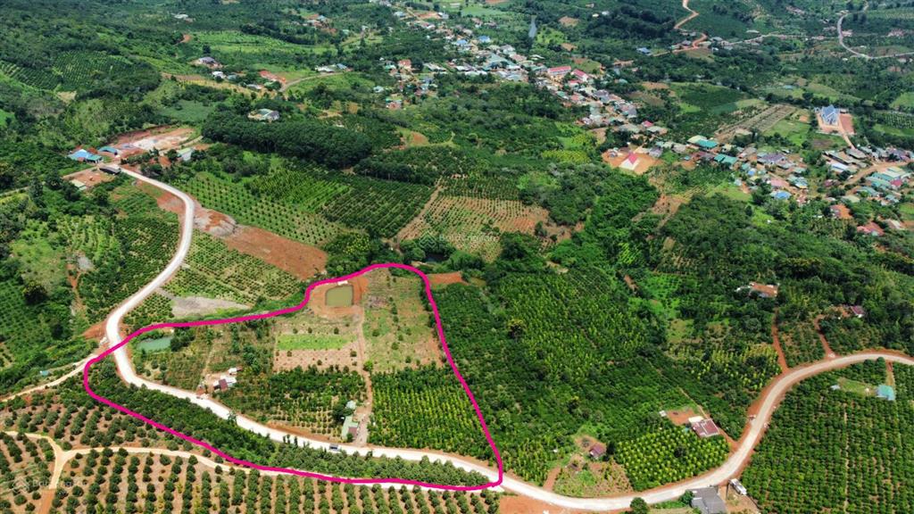 Bán rẫy/trang trại trồng cây lâu năm tại xã trường xuân, lâm đồng