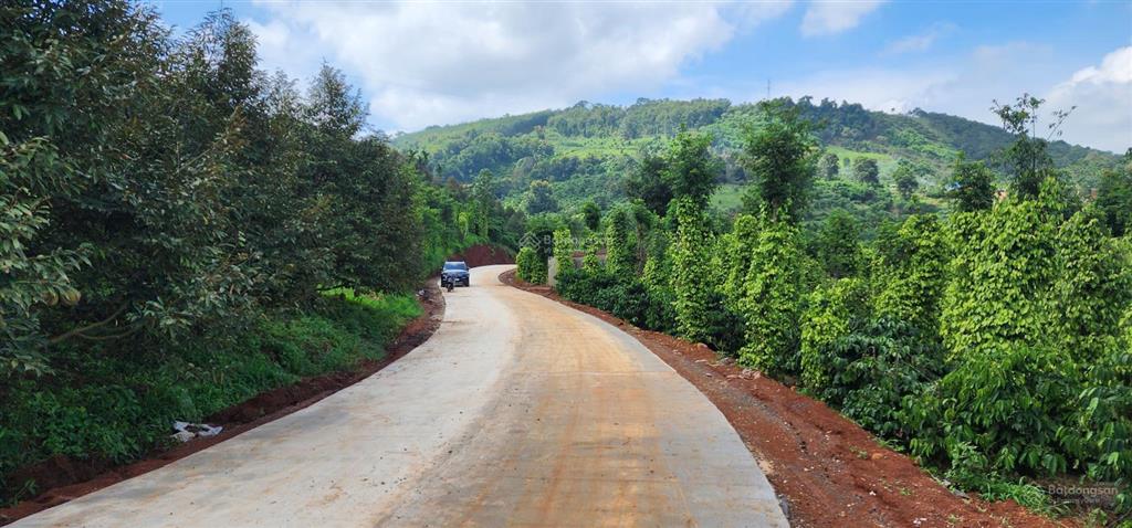 Bán rẫy/trang trại trồng cây lâu năm tại xã trường xuân, lâm đồng