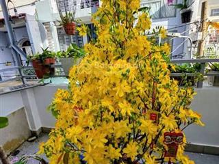 Nhà ở gia đình trần bá giao p.5 giáp bình thạnh sân bay tân sơn nhất. trệt 2 lầu chỉ hơn 7 tỷ.