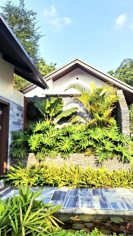 Bán villa nghỉ dưỡng liên sơn, phú thọ