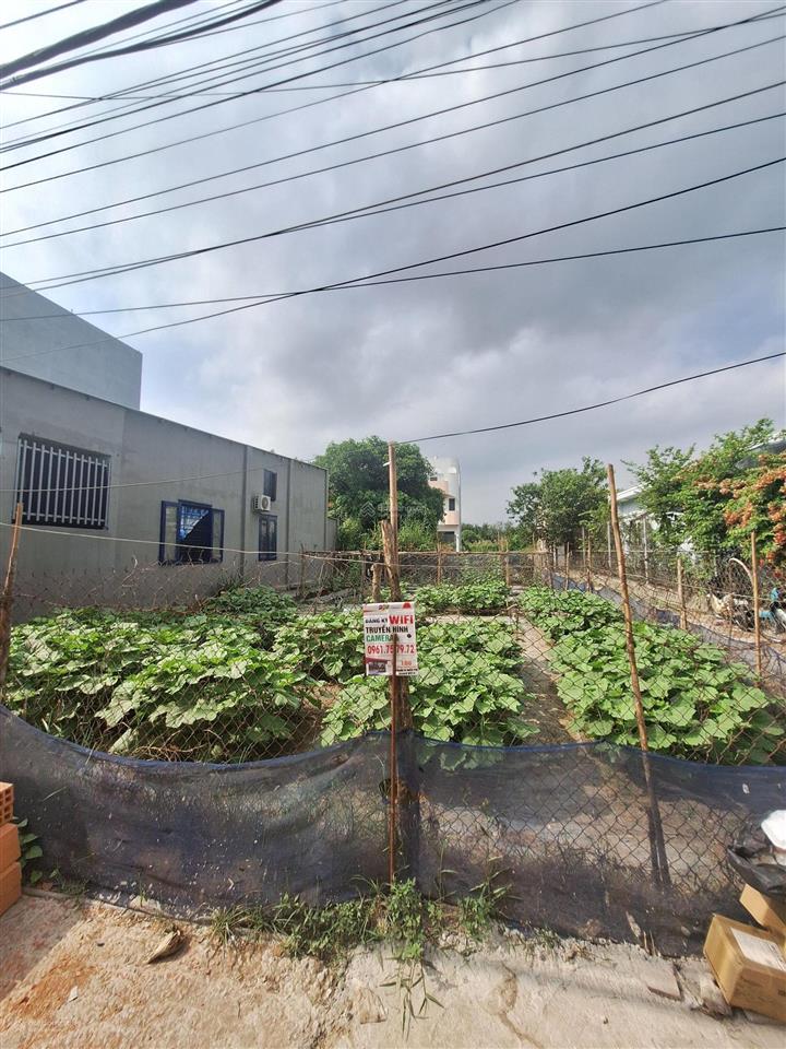 Bán đất tại long phước, 8 tỷ, 200 m2, mặt tiền 10m, pháp lý đầy đủ, hot!