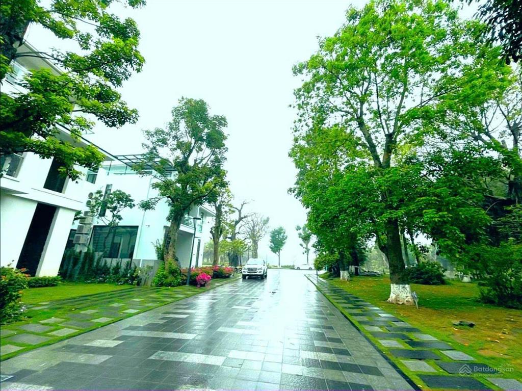 Bán biệt thự đảo ecopark  riêng 300m2 giá tốt thị trường