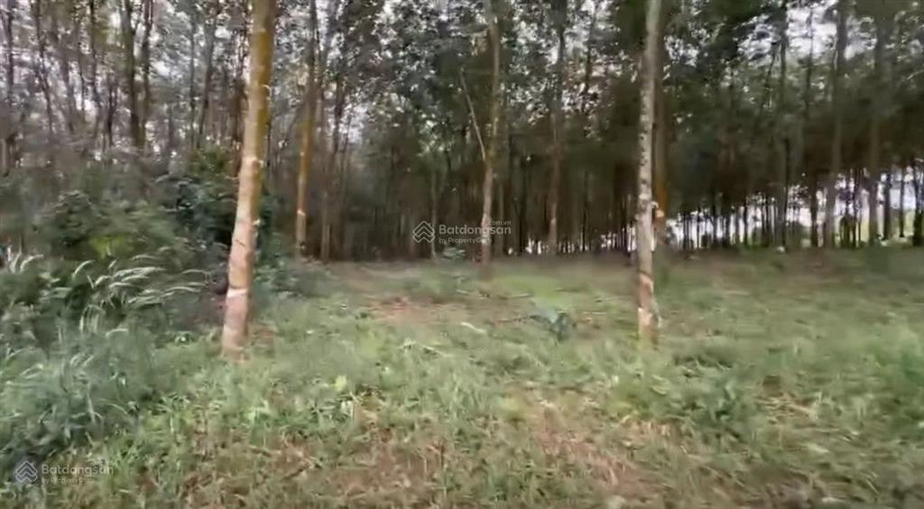Bán đất tại đt 755, đoàn kết, bù đăng, giá siêu hời 32.6 tỷ, 28547m2