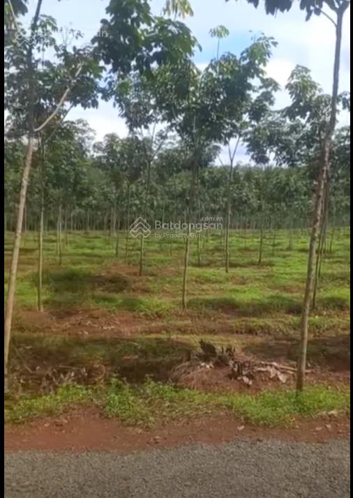 Bán đất tại thôn 1 xã đoàn kết, 13 tỷ, 22000 m2, mặt tiền 120m, pháp lý đầy đủ