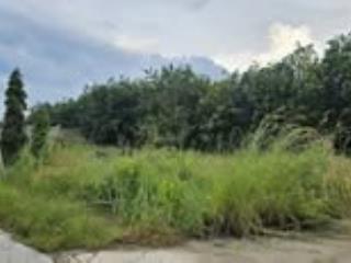 Bán đất nền tại thôn 1, nguyễn thị minh khai, 1,7 tỷ, 1450 m2