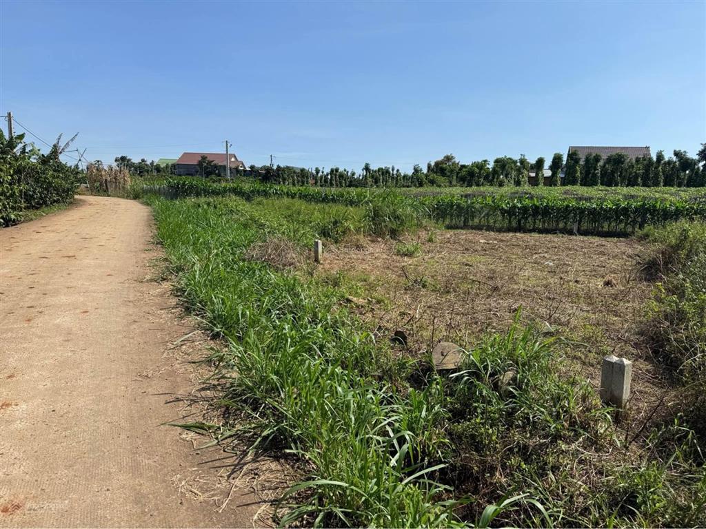 Bán đất tại đt 755, xã đoàn kết, huyện bù đăng, 42 tỷ, 42562 m2