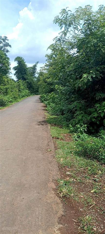 Bán đất đẹp tại đt 755, 29,6 tỷ, 28846m2, pháp lý đầy đủ