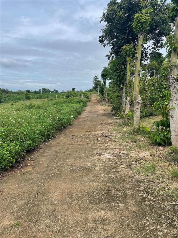 Bán đất đẹp tại đt 755, 29,6 tỷ, 28846m2, pháp lý đầy đủ