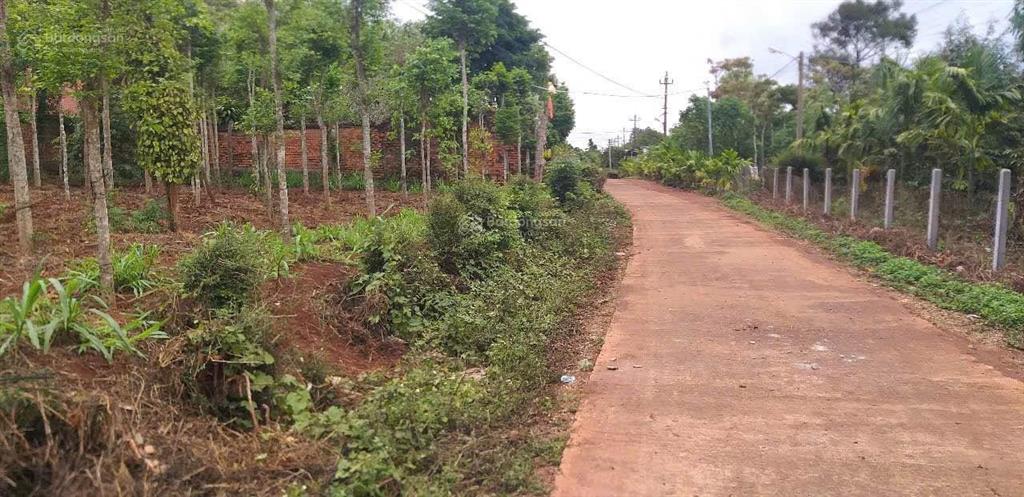 Bán đất tại đt 755, bù đăng, 37 tỷ, 38450 m2