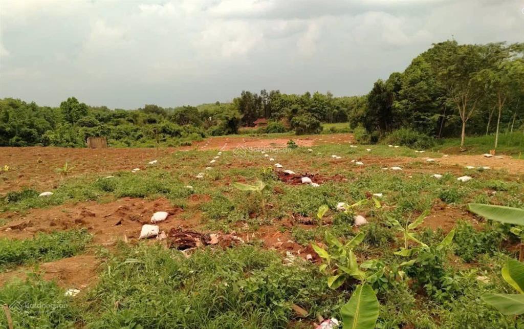 Bán đất tại thôn 1, nguyễn thị minh khai, 22,2 tỷ, 21458 m2