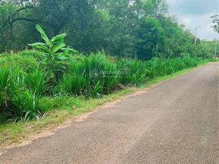Bán đất tại thôn 1, nguyễn thị minh khai, 13,2 tỷ, 21458 m2