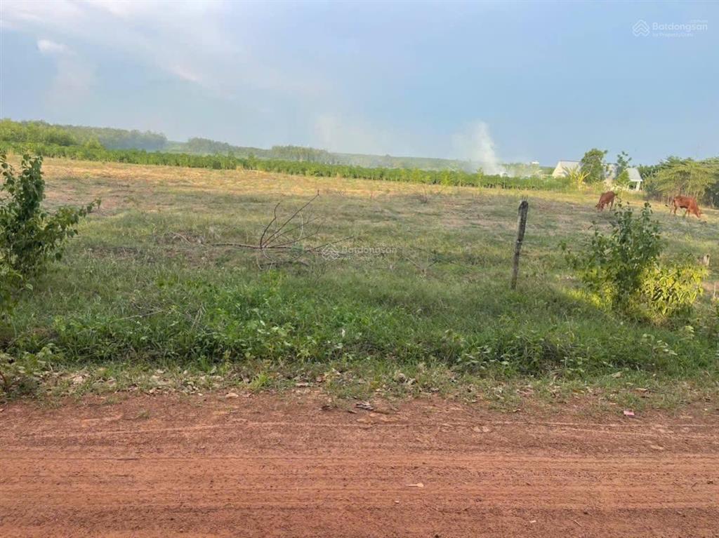 Bán đất tại thôn 1, nguyễn thị minh khai, 22,2 tỷ, 21458 m2