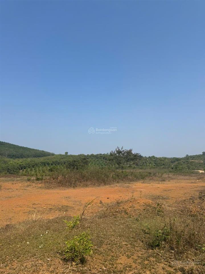 Bán gấp đất thổ cư 4215 m2 tại quốc lộ 14, đoàn kết, bù đăng, 13 tỷ vnd