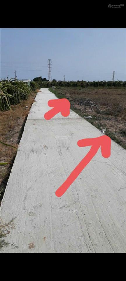 Bán đất chính chủ phan thiết 977.7m² | gần biển đường ô tô phù hợp homestay, nhà yến