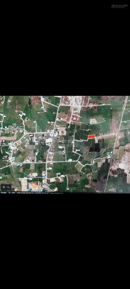 Bán đất chính chủ phan thiết 977.7m² | gần biển đường ô tô phù hợp homestay, nhà yến