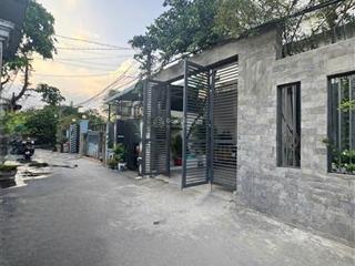 Linh xuân lô ngang 5m hiếm còn sót