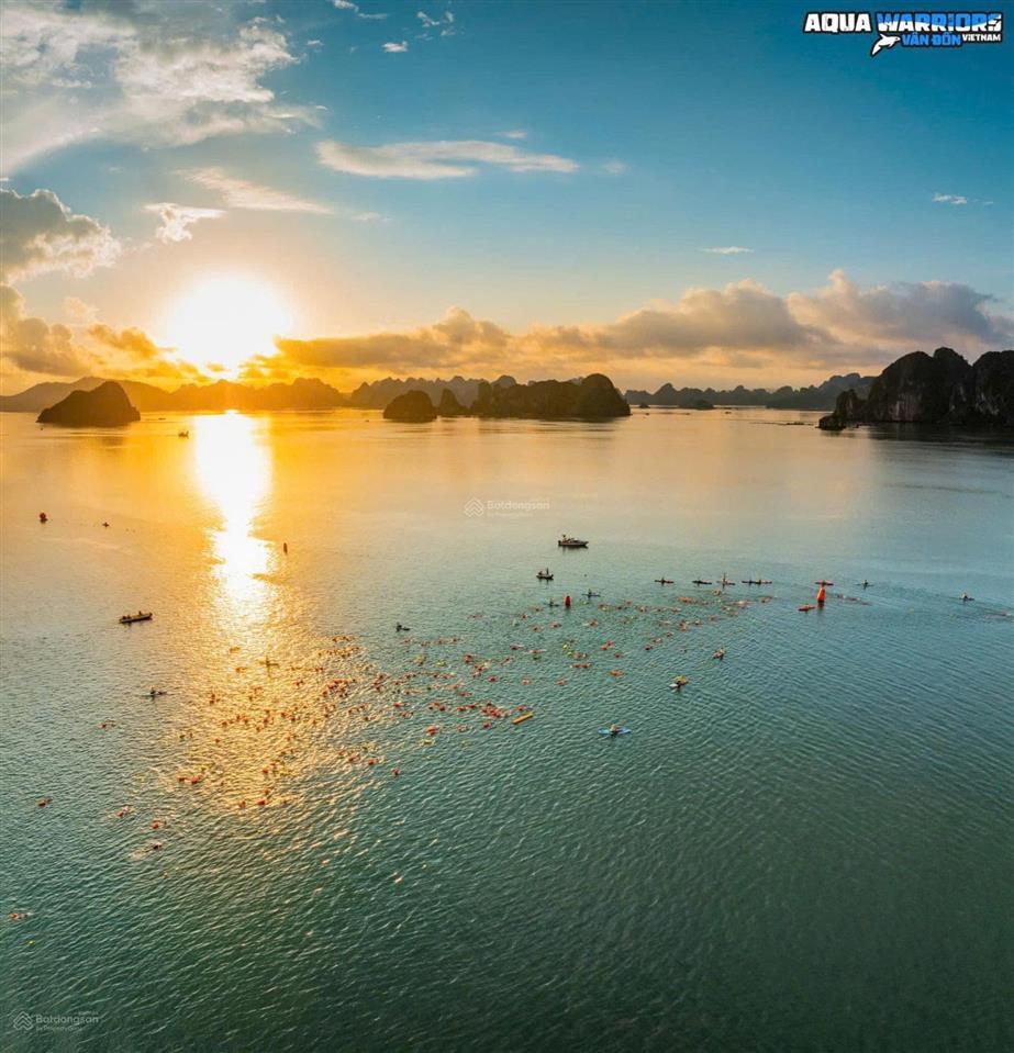 Biệt thự biển full giá chỉ 6 tỷ, sẵn sàng sang tên và đưa vào khai thác