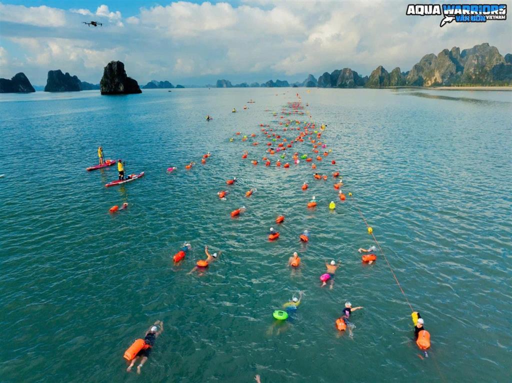 Biệt thự biển full giá chỉ 6 tỷ, sẵn sàng sang tên và đưa vào khai thác