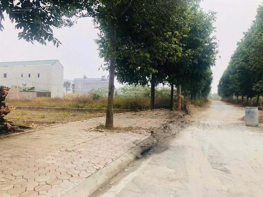 Cắt lỗ! 100m tái định cư đại học qg vị trí đẹp kinh doanh, giá cắt lỗ siêu rẻ nhất công nghệ cao