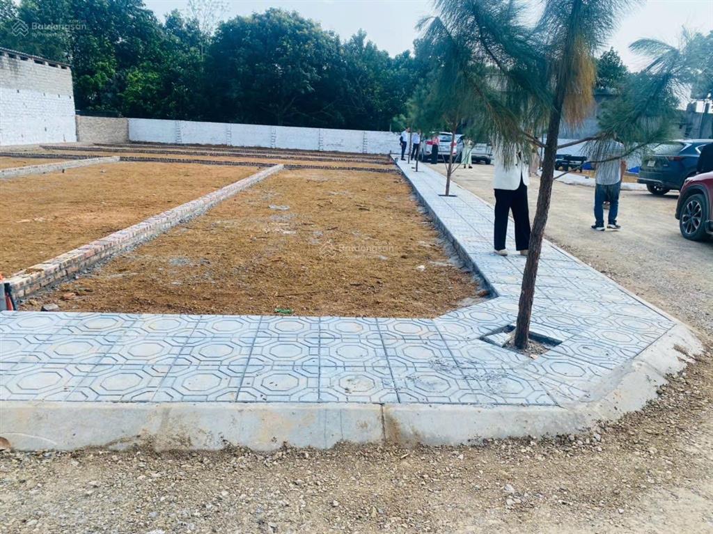 Con đi xklđ cần bán nhanh 97m mặt tiền 6,5m nằm ngay trên đường vành đai 1, kinh doanh được luôn