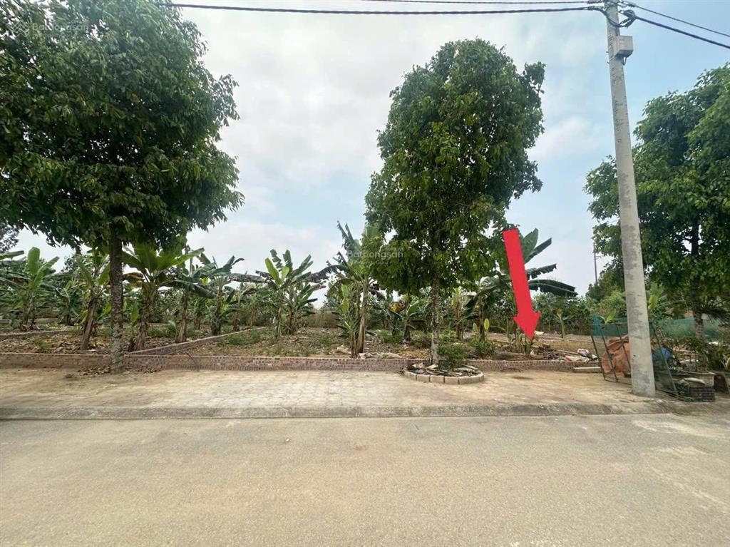 Chị gái cắt bán 100m tái định cư đại học quốc gia cho con xây nhà, vị trí kinh doanh, cần bán nhanh