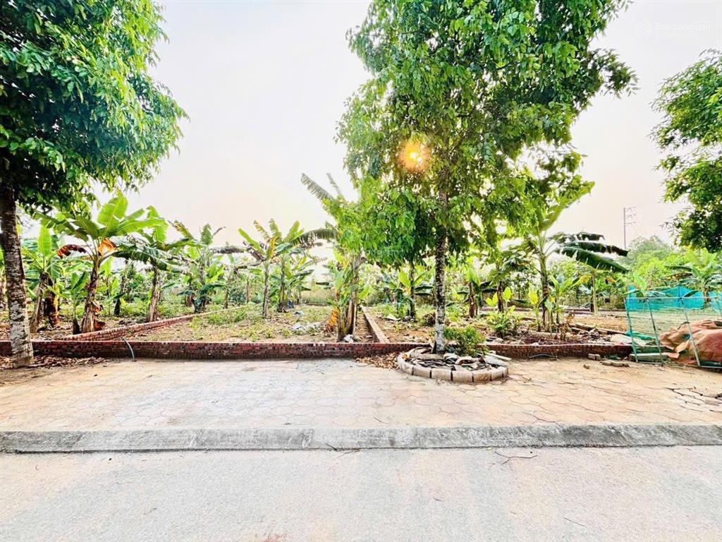Chị gái cắt bán 100m tái định cư đại học quốc gia cho con xây nhà, vị trí kinh doanh, cần bán nhanh