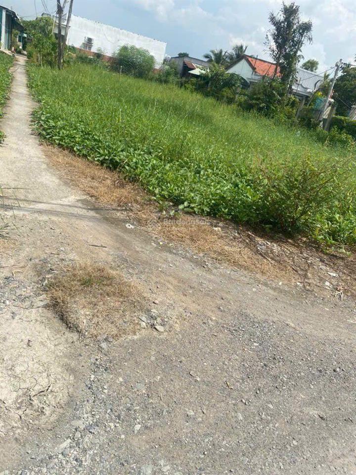 Đất ruộng 3000m2, pháp lý chuẩn được lên thổ cư, cách trung tâm q1 19km giá chào 9 tỷ