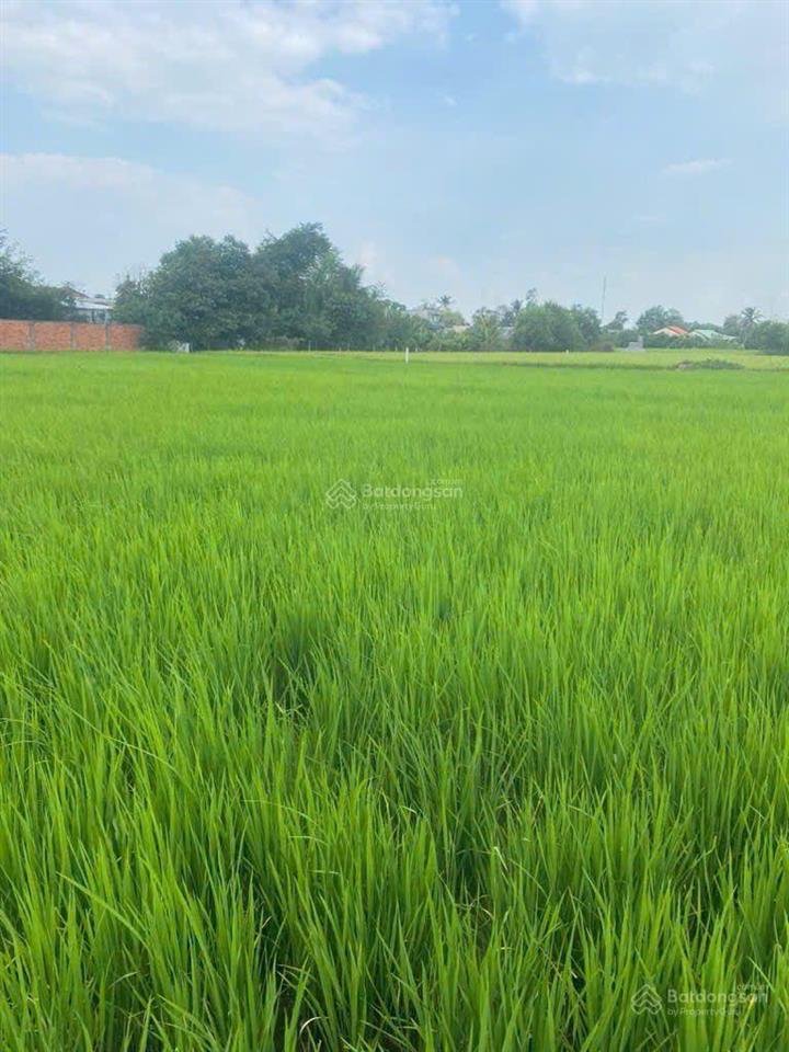 Đất ruộng 3000m2, pháp lý chuẩn được lên thổ cư, cách trung tâm q1 19km giá chào 9 tỷ