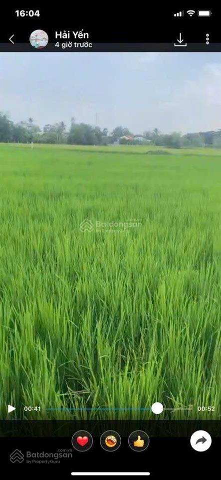 Đất ruộng 3000m2, pháp lý chuẩn được lên thổ cư, cách trung tâm q1 19km giá chào 9 tỷ