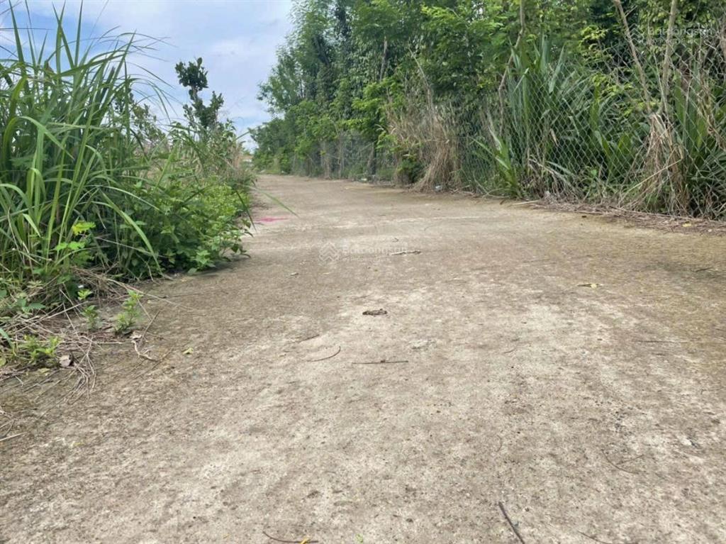 Hiếm có 5119m2 đất có 48m mặt tiền nhựa 100m2 thổ cư giá rẻ