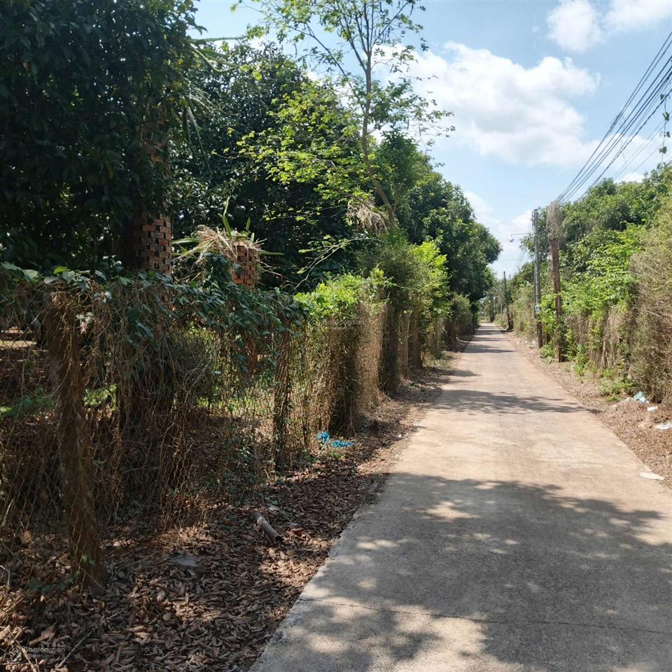 Bán đất thổ cư tp. long khánh, đồng nai, dt 146m2
