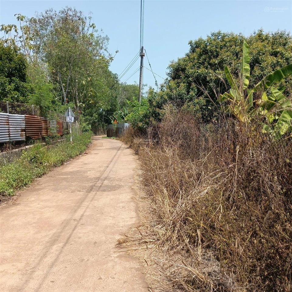 Đất thổ cư xuân lập (bàu sen cũ) full thổ 305.5m2