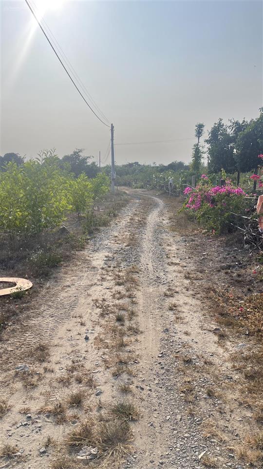 Siêu phẩm hót hit đập gia măng, xuân lộc, đồng nai