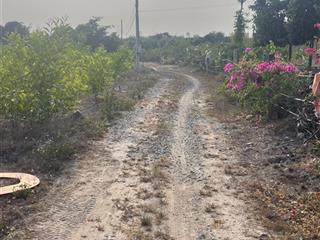 Siêu phẩm hót hit đập gia măng, xuân lộc, đồng nai