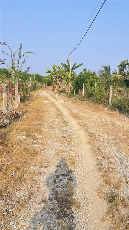 Siêu phẩm hót hit đập gia măng, xuân lộc, đồng nai