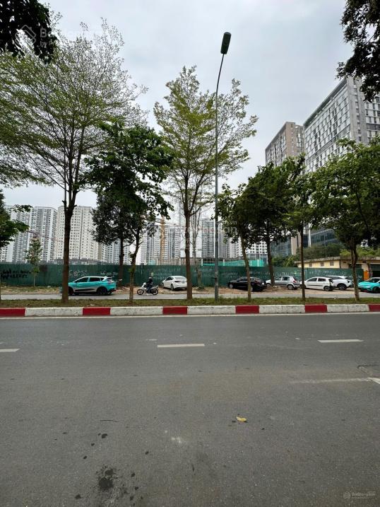 Cần bán căn biệt thự ngoại giao đoàn mặt đường nguyễn xuân khoát, dt 425m2, hướng nam.