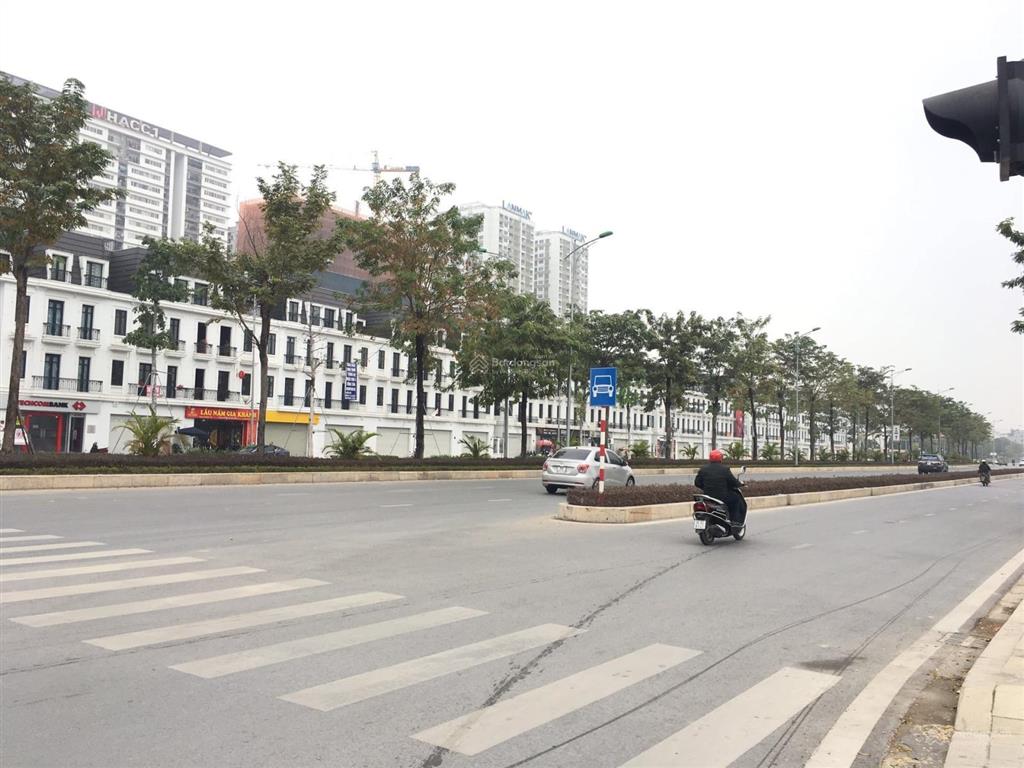Cho thuê mặt phố hoàng minh thảo, 120m2x4t, mặt đường 60m