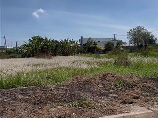 Đất rẻ 100m2 tại kdc phước đông