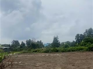 Đất thổ ngộp tại tân lân 291m2 mt đường 7m, giá 1 tỷ 4