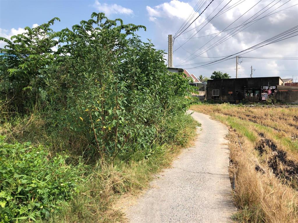 Cần bán 109m2 đất thổ cư tại tân lân giá 490 triệu