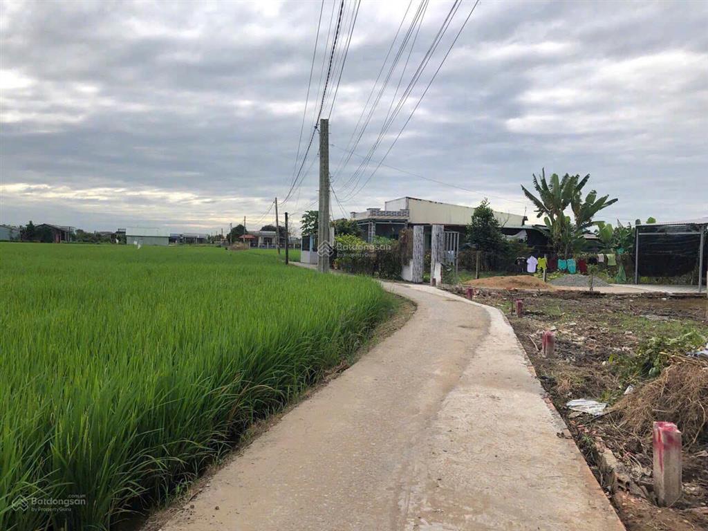 Cần bán 109m2 đất thổ cư tại tân lân giá 490 triệu