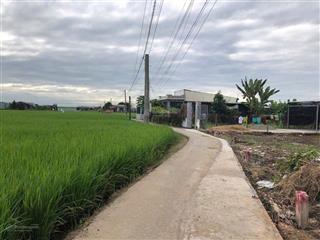 Cần bán 109m2 đất thổ cư tại tân lân giá 490 triệu