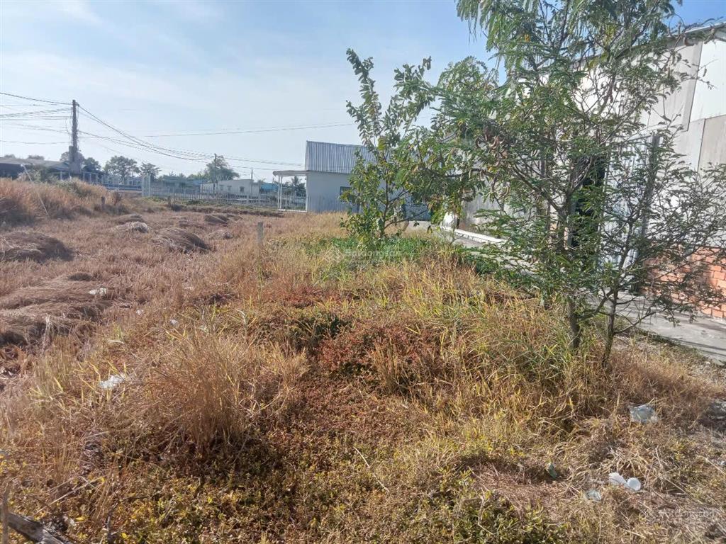 Bán 151m2 đất thổ giá 570 triệu tại tân lân